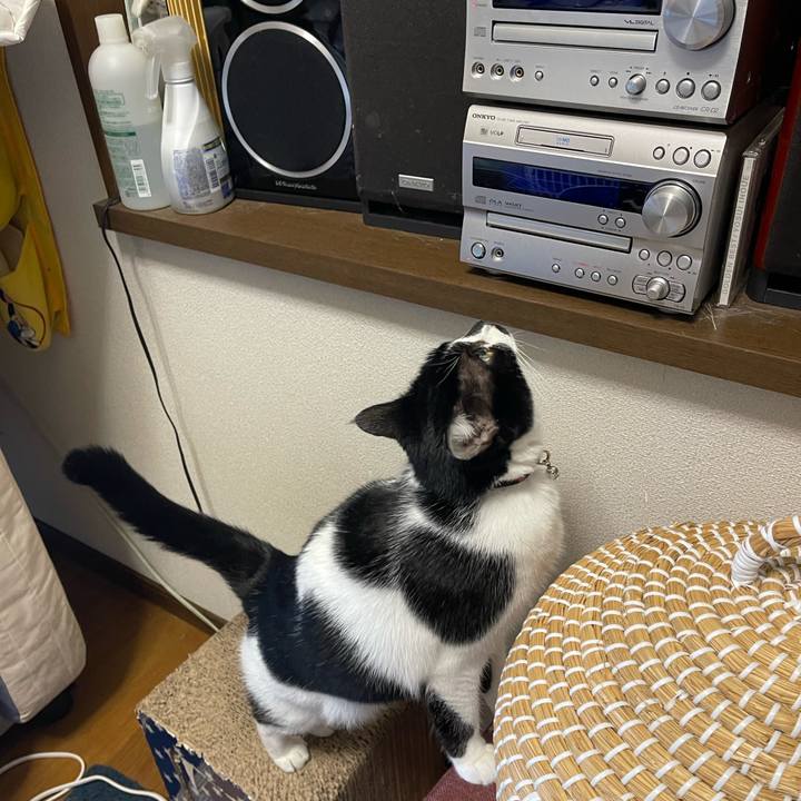 695deb0f 937b 4946 aa64 c731bc601d18 1762901665174