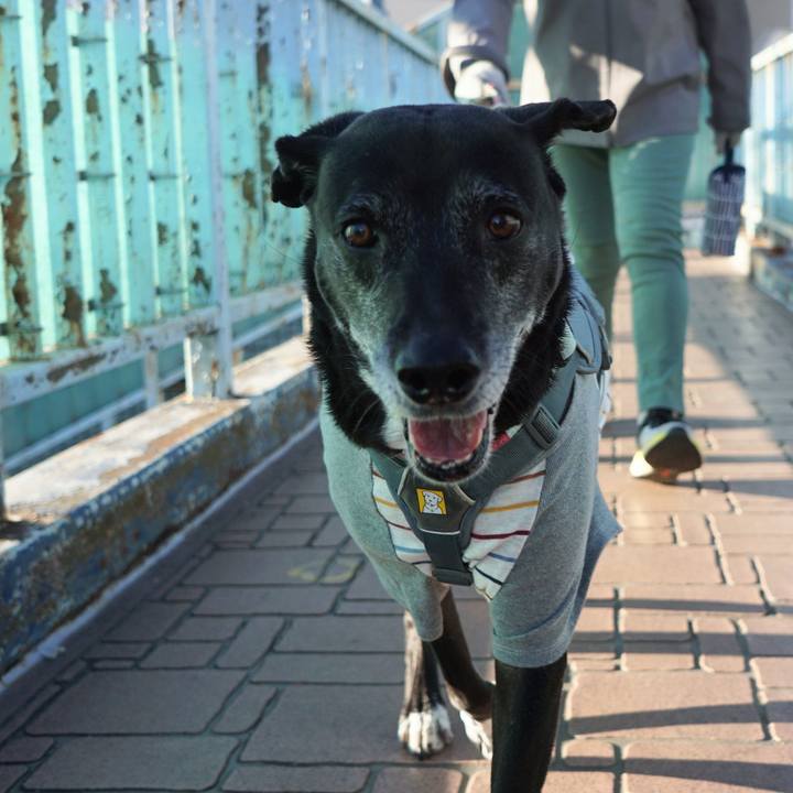 695df96a fa81 41b3 8dae 861ad17113c1 1763773574920