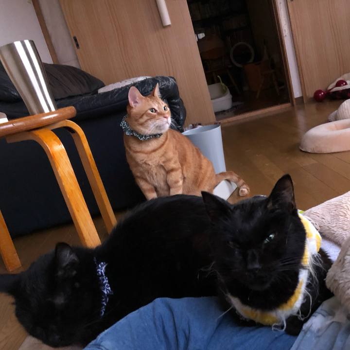 695e07d8 192b 49f0 b3f9 719949acfe75 1556376400818