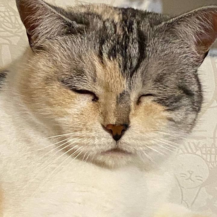 695e0db5 c3c2 4b96 9d8c f4d534734c92 1624711116732