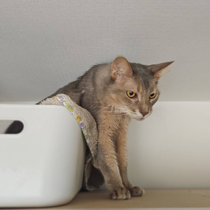 695e3d62 2749 4281 8d2b abbb51585124 1769749145463