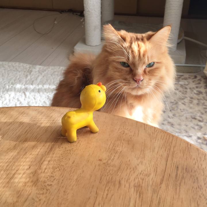 695e4fde 7f8f 48e5 8831 0b800ae56737 1516571261574