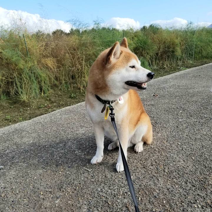 695e50a6 6c29 4bc5 b87c d1aaecc6ad39 1601963253856