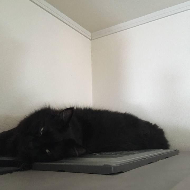 695e53f2 cd76 4b9d a30b 3b6a3b4c4eec 1517811991584