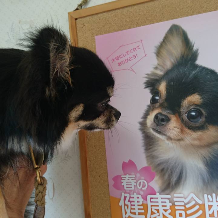 695e6788 121c 4dea b0ea a832a0a71702 1527527697415