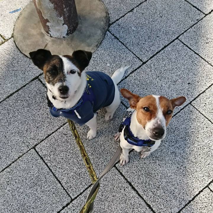 695e8085 6f14 4df7 a770 25abc59a280c 1525994384921