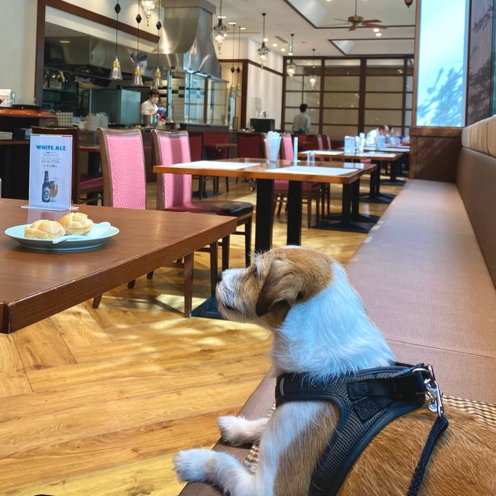 695e906d f71c 49e5 9f9d 070424908eef 1685618670403