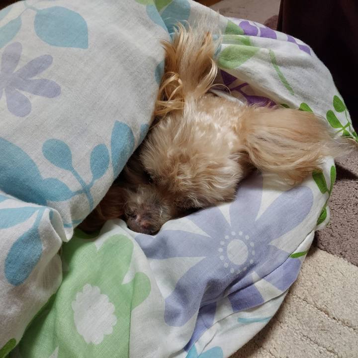 695e9681 ea62 488e b1a9 dd17923ff42b 1742948158871