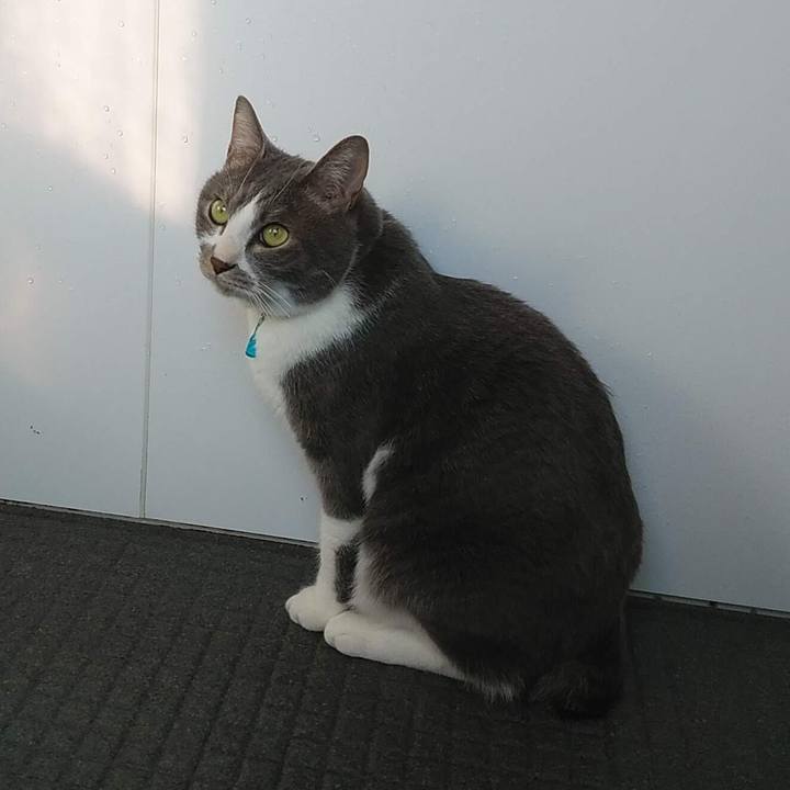 695e98bc d3a0 4b7f 98c3 777215bcb367 1645859851310