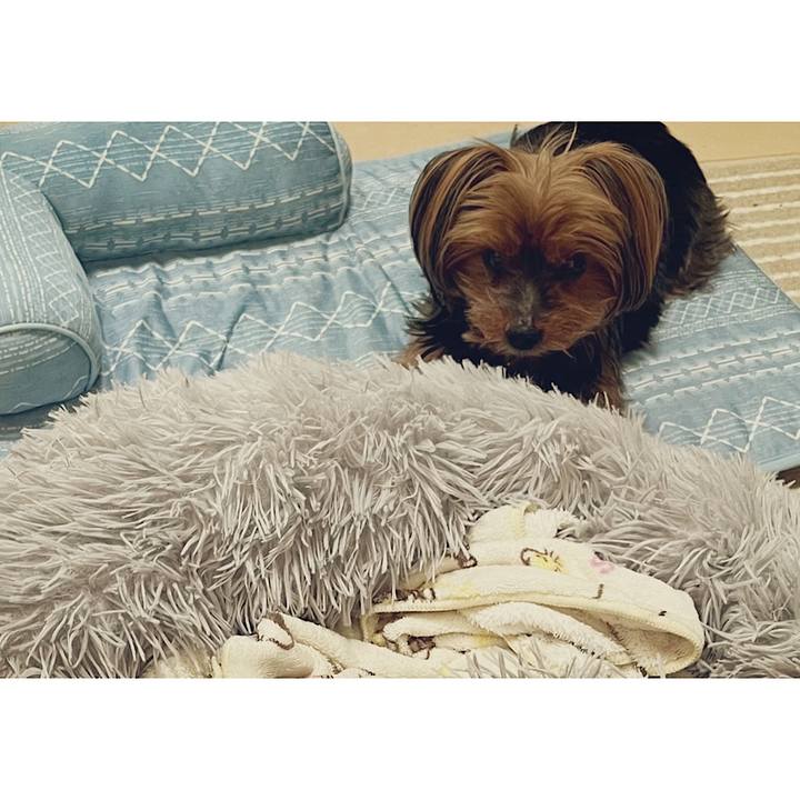 695ef78f 594a 42c0 8d4c 99d36d0118cd 1719043200296