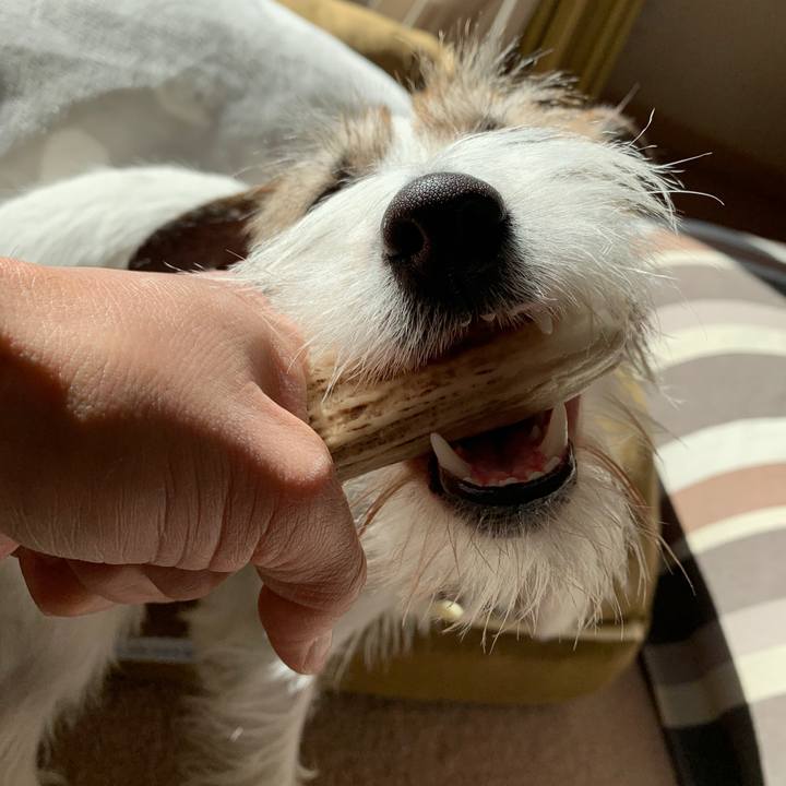 695f22bc d3d1 419c a39e 245725adbc52 1579411742359