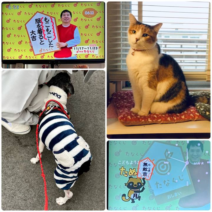 695f49d6 f011 4057 b6be cb94ecf03ab3 1763331022686