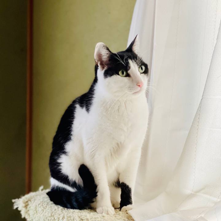 695f62be bd14 4802 a4b6 cc9b9b250a6c 1613009725095