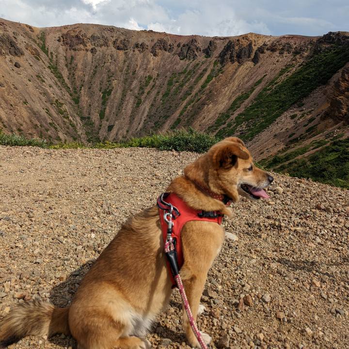 695f72b0 f105 4df4 8c2f 1bf92b2125a6 1660204259310