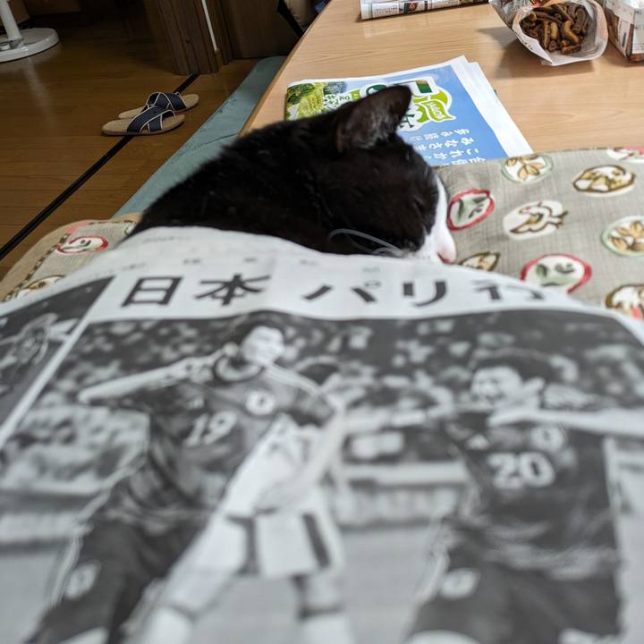 695f74a3 ec76 4834 bf89 b75fee635aea 1714795515290