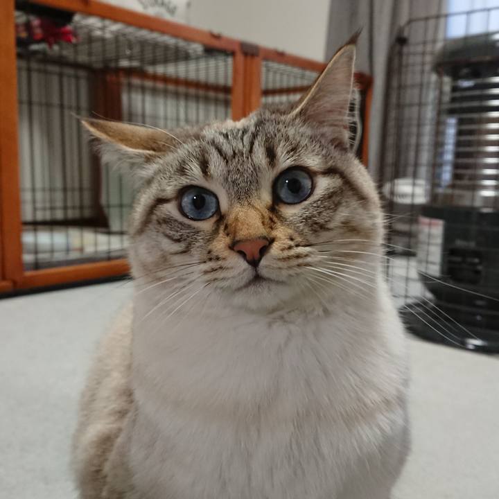 695f7e5f e628 40d2 8482 5ac13d91852b 1585470906983