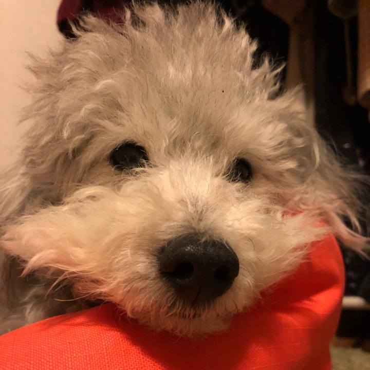 695f9f67 3878 49cd a984 92cbc713472c 1520942697307