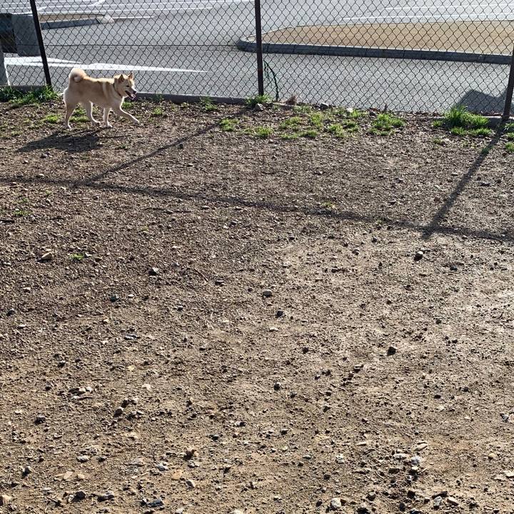 695f9fd0 287f 46ba a861 067251f126b9 1647827825514