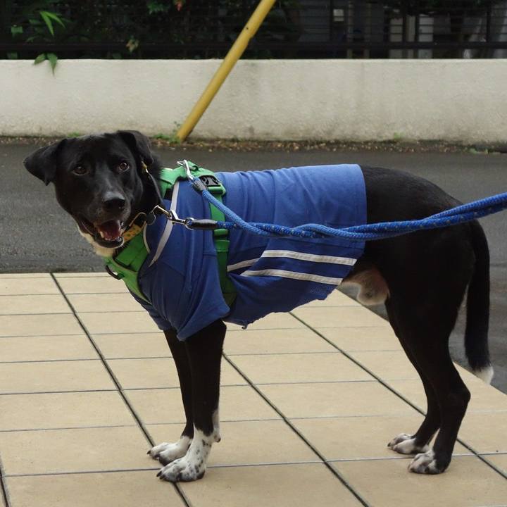 695fa0e7 4c6d 4aa6 8b7c d9da12be0dd1 1595375311059