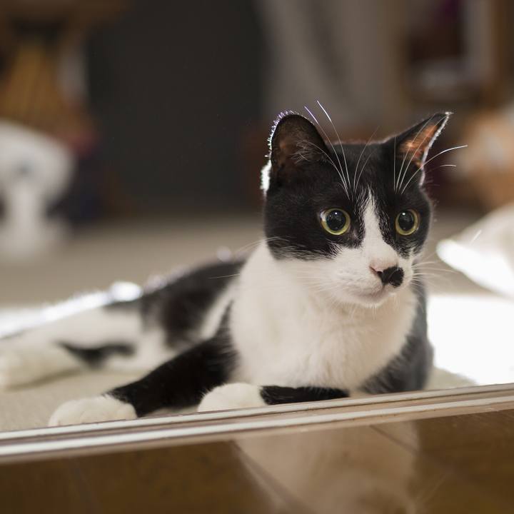 695fabd0 7aff 43ae 83aa da673d449a60 1535286657324