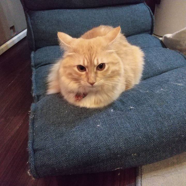 695fd874 59a2 4bf2 83e1 da0b5f086461 1636983296184