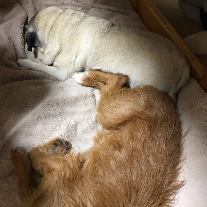 695fdd74 283a 4007 ba55 4bdec95632ab 1547163387525