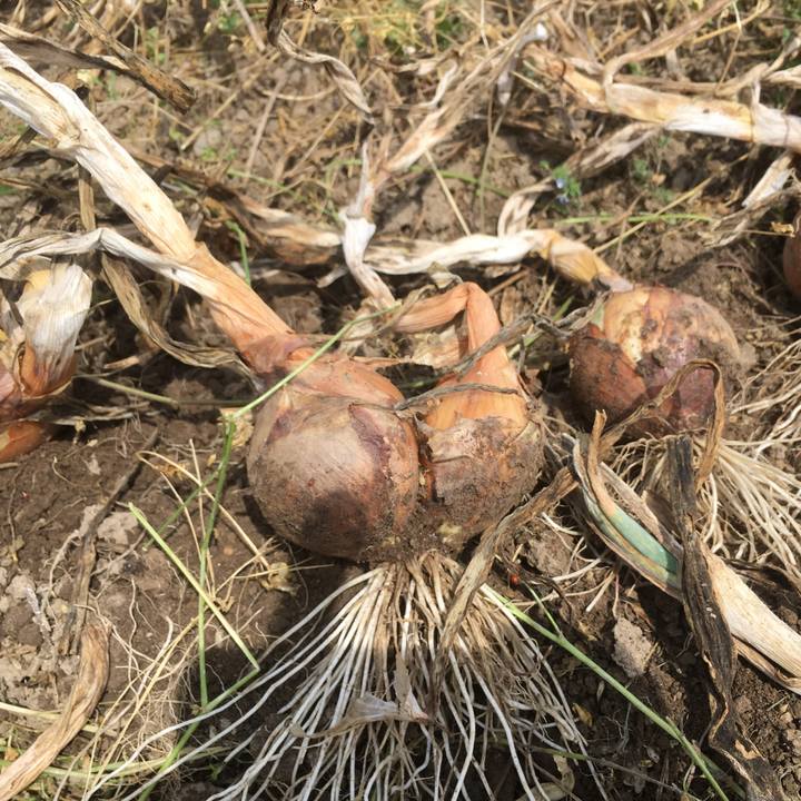 69603156 a9dc 42ce b888 e8d629897ee8 1560045239614