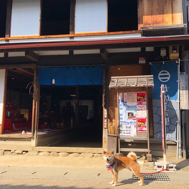 696077dc 6f92 4013 948e b174f0109277 1521017166475