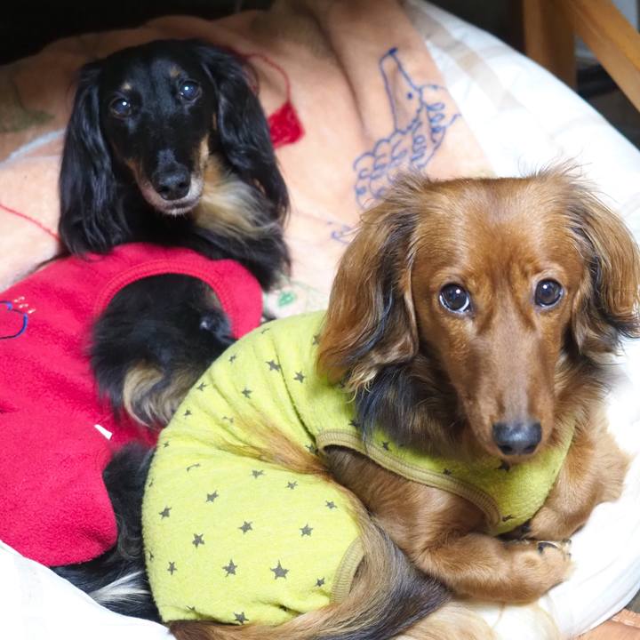 6960a189 dfd1 4b0d afc4 2548ff0b57ae 1733550196644