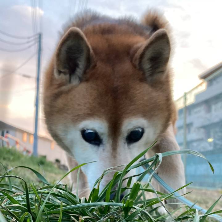 6961070f 41e5 49c9 b184 1b1eeb2a76ce 1740824905682