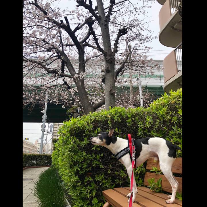 696109c6 6f61 4cc3 b7d5 fa45b88b718d 1553948937277