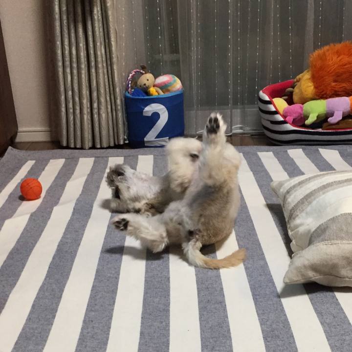 69615586 e929 4ab9 b3e7 b685f39453e1 1538220299374