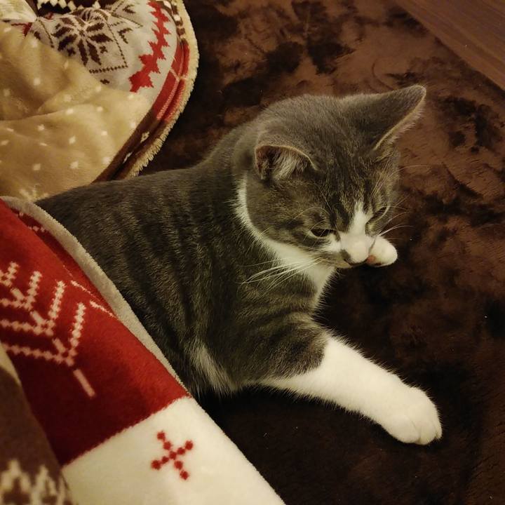 69615812 5456 4c6d a91b 03905fae046c 1576335433981