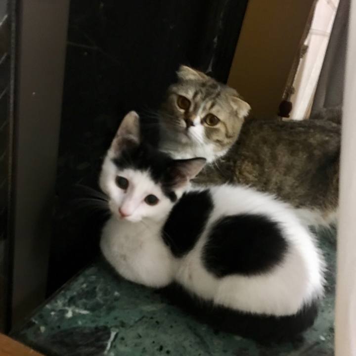 696178cd d294 4967 ac6e d117f325d315 1532604597003