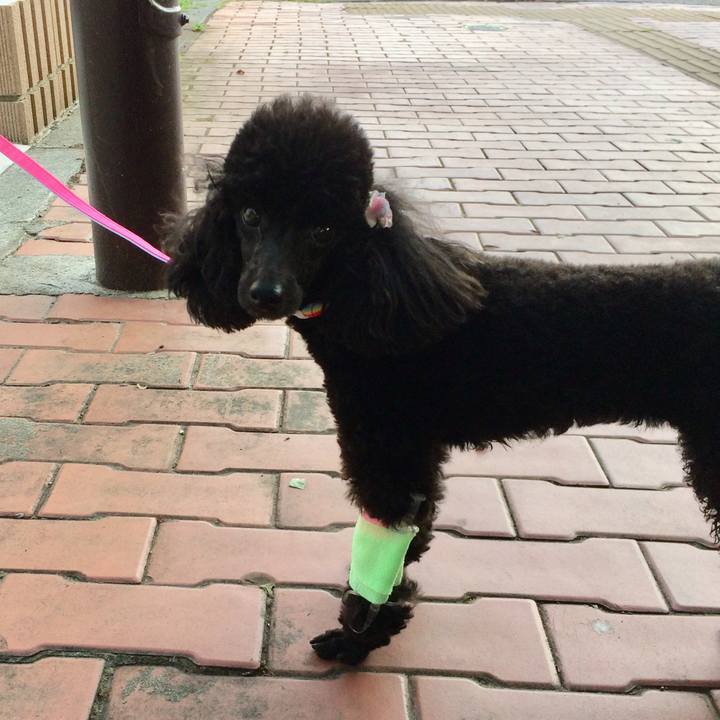 696187d3 7ebf 43bd 8a7f c651fd54051b 1527939132126