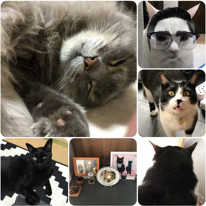 6961d3df 2ac7 470b 9bf8 4b1912644601 1561455819534