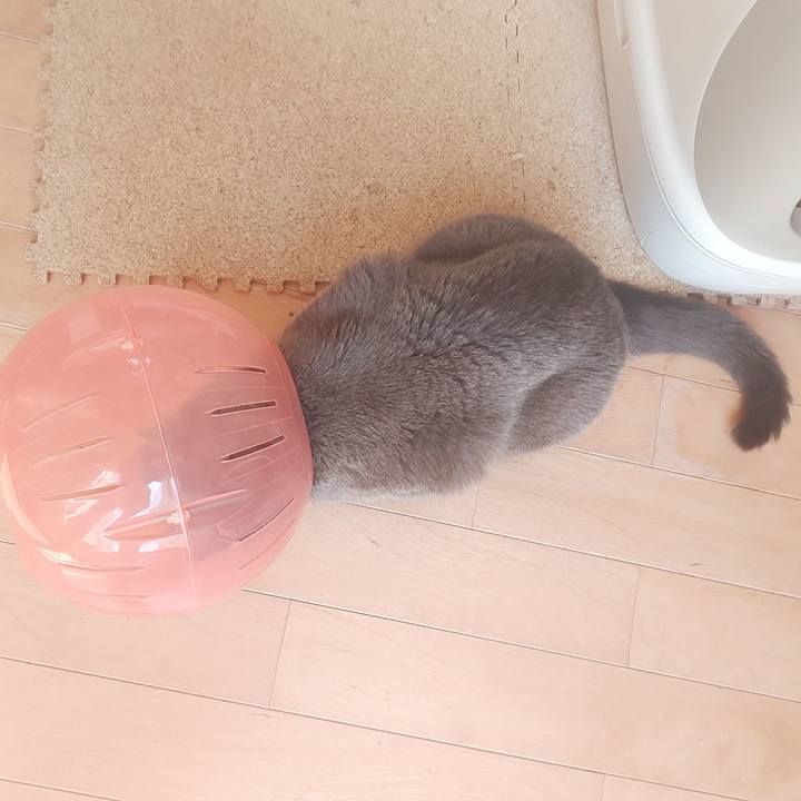 696204ed fd8f 4c2c b367 7b9c071aabfc 1558834900934