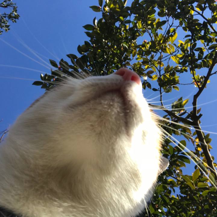 69620546 1633 4bb1 b75b 526d18ec02c9 1515638179615