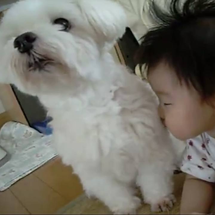 69620d29 87c2 48ee 84f8 ae9dfa080348 1774528216402