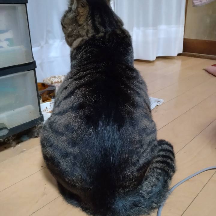 69623ba4 09ae 4c4d be33 4492c3cde39c 1671962200447