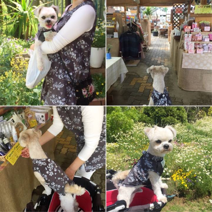 69626364 80c5 4327 8dfe 1b538ccc0443 1525212299387