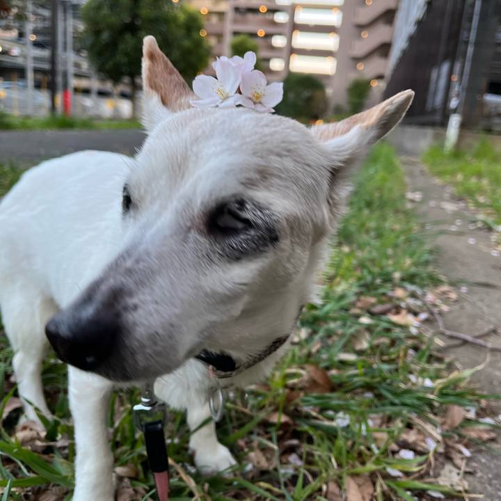 6962a2c3 7e63 4570 8636 0cc6556fbc7d 1699884142917