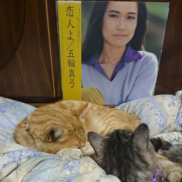 6962aeae bb53 4325 93f7 c40a81a21012 1588853238464