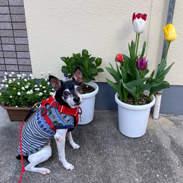 6962c5f5 4e16 4045 8bcc 80f977b70d22 1617229459011