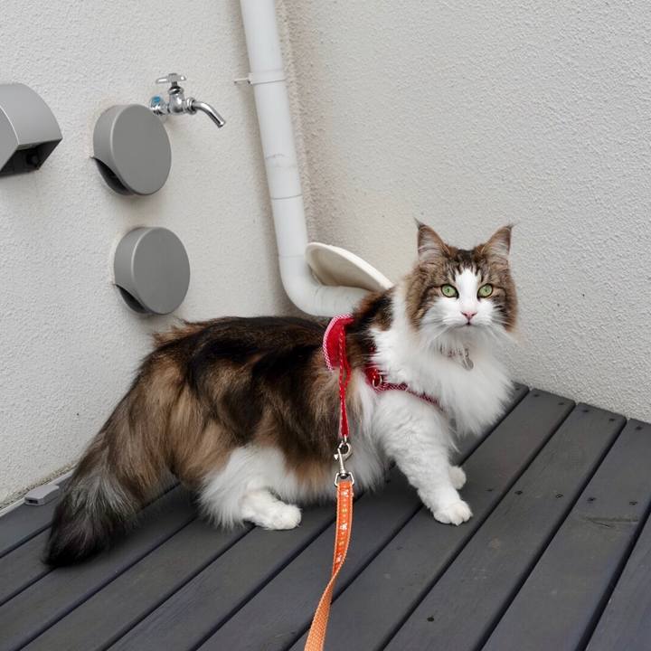 69634971 b90a 44e6 8a9e 2e2a9a26740f 1560314665038