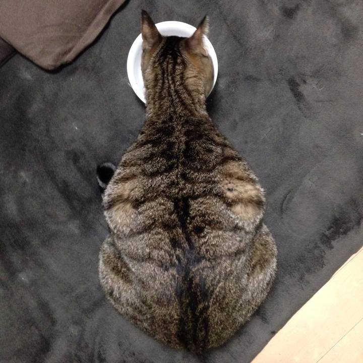 69634f8c 6ff2 44dd 8a10 e1733f773532 1512242783278