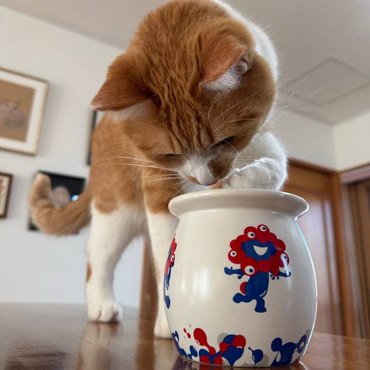 69638828 176e 43e4 b093 d78613b68f6c 1768005600348