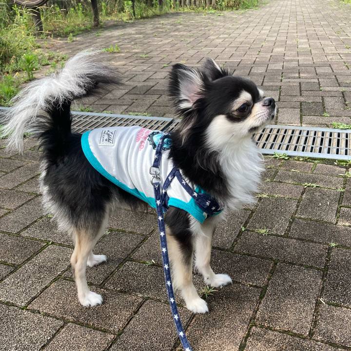 69638c9e cd41 4a28 a9e7 ebc89a00377d 1655041127985