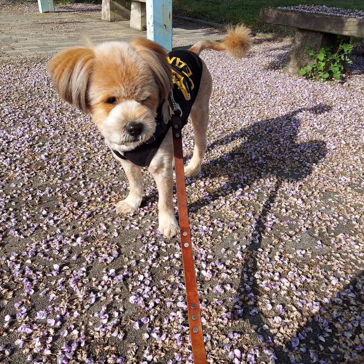 69639684 ee06 4a4b 81d0 7f509767b0fc 1650845494790