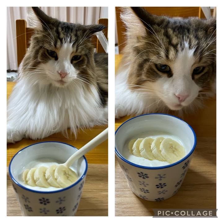 6963975f 29ca 4794 b5f5 244e718327af 1701118464106